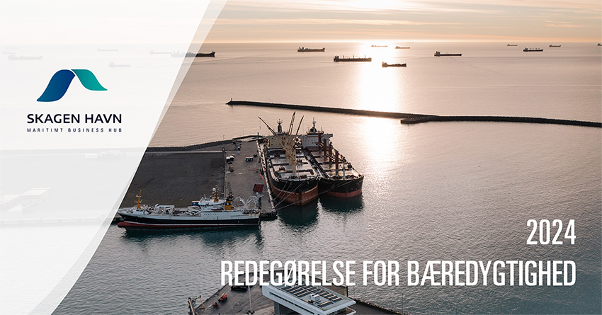 Redegørelse for bæredygtighed for 2024