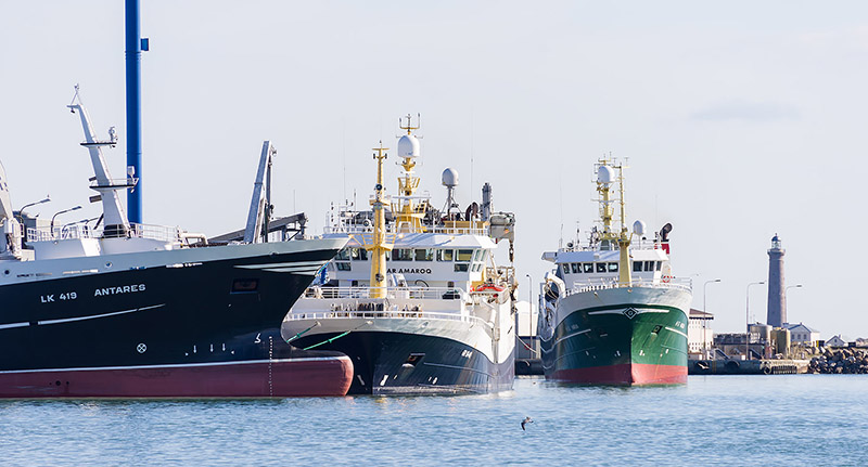 Rekordstor mængde fisk er landet i Skagen Havn i 2017
