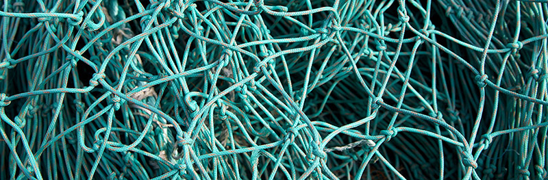 Skagen Havn tager medansvar for bæredygtig omstilling